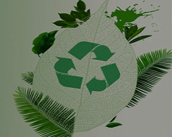 إدارة الفرشاة والأشجار